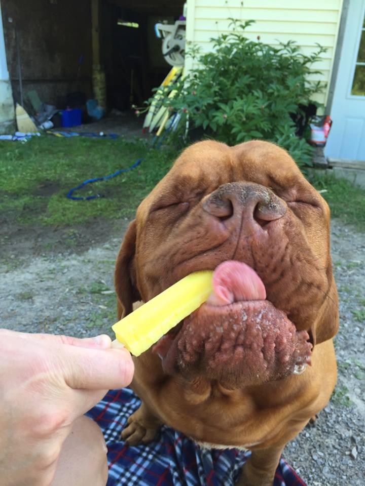 remi3 remi